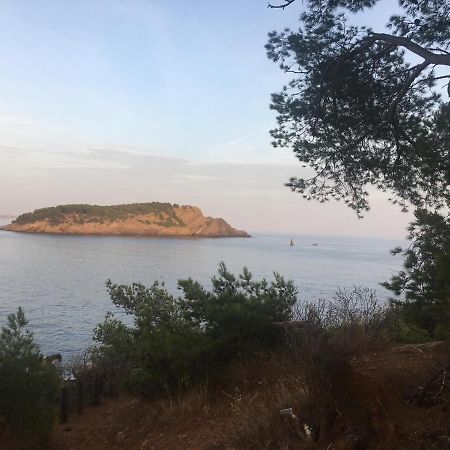 Fanny Wifi Climatise Tout A Pieds 4 Personnes La Ciotat Eksteriør bilde